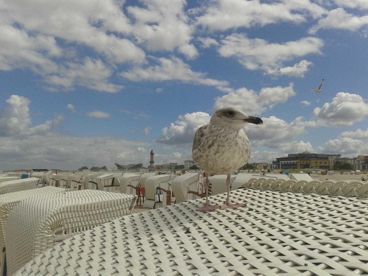 Ferienwohnungen Warnemuende Objekt Rostock Esterno foto